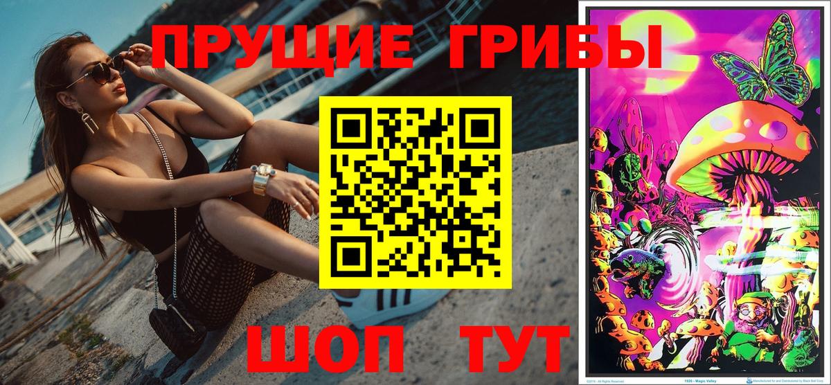 Псилоцибиновые грибы Cubensis Выкса